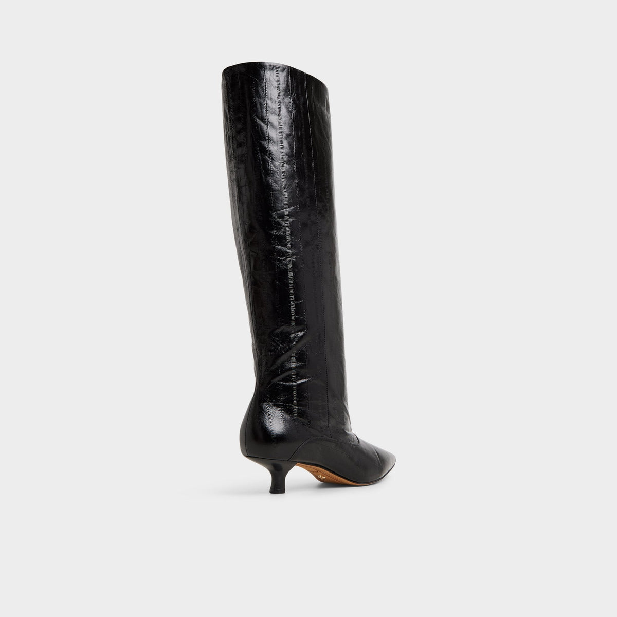 Everose in Black - Knee-high boot, Kitten heel | Aldo Signature