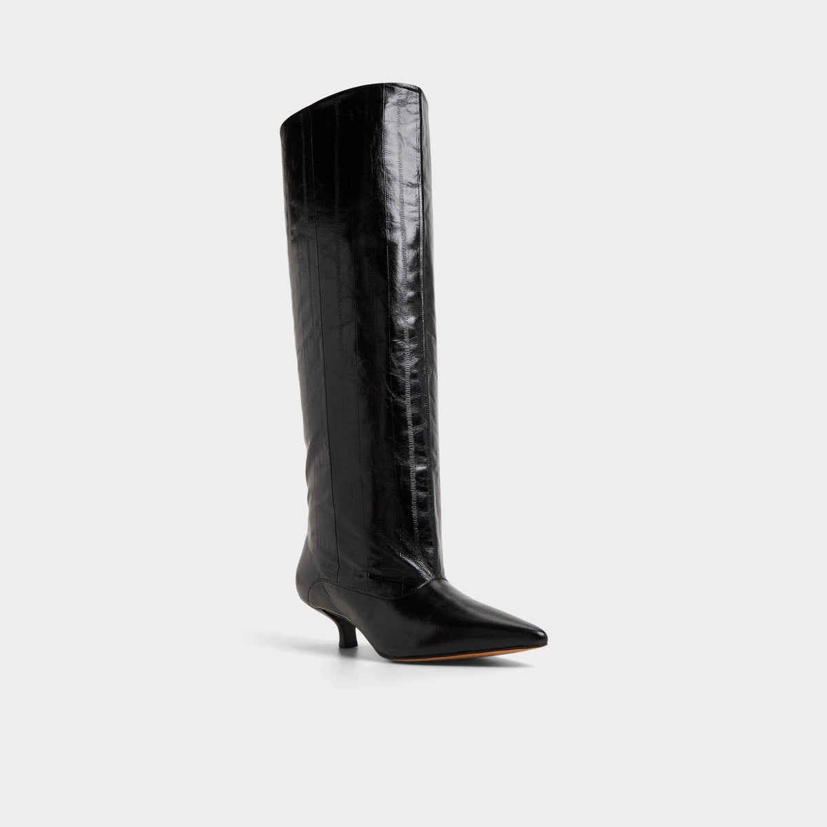 Everose in Black - Knee-high boot, Kitten heel | Aldo Signature