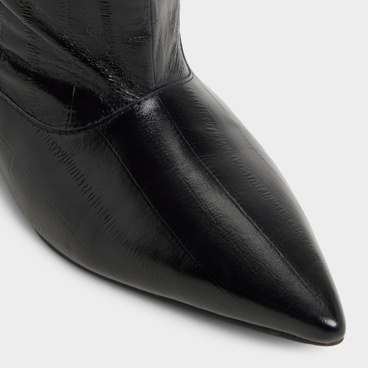Everose in Black - Knee-high boot, Kitten heel | Aldo Signature